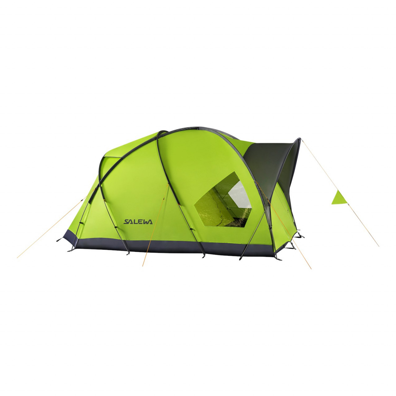 Salewa Alpine Hut III Tents Green/Grey DFE-508219